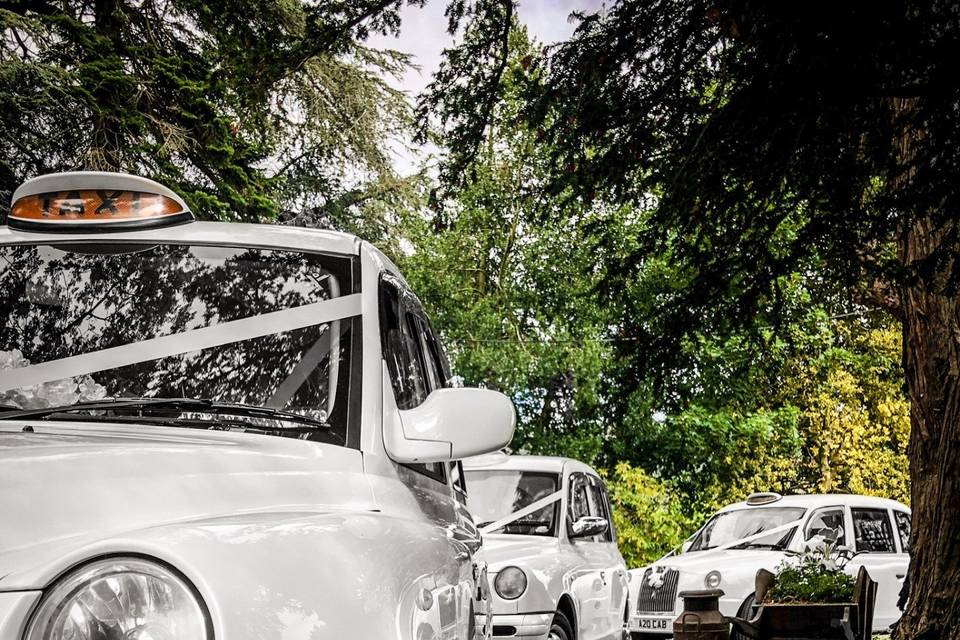 A fleet of modern taxis