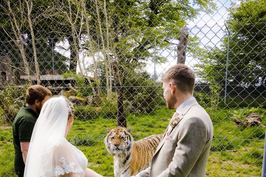 Dartmoor Zoo Wedding