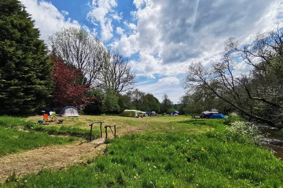 Camping on the lower fields