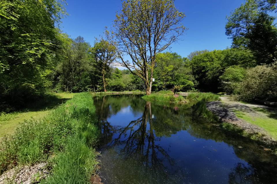 Wellstone lake