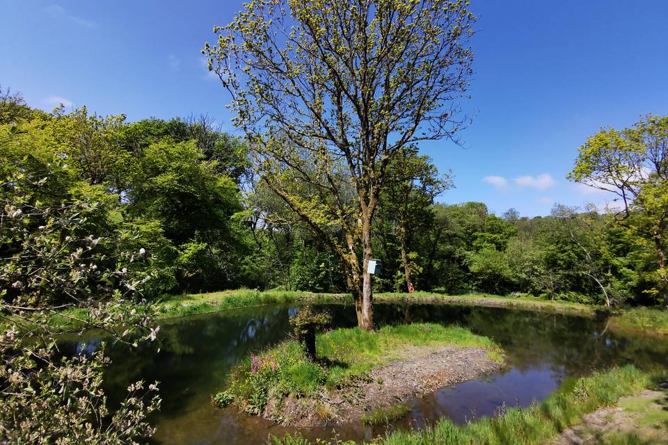 Peachey Pond