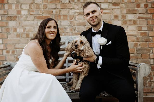 The Wedding Day Dog Chaperones