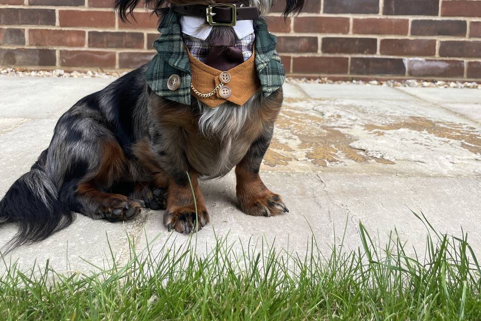 Teddy