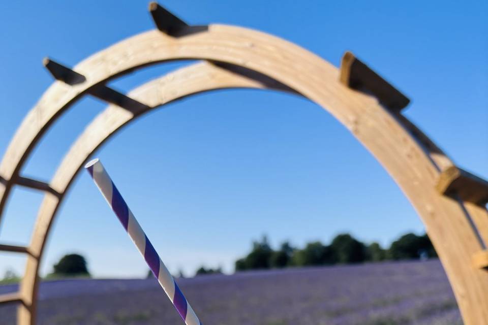 Lavender special