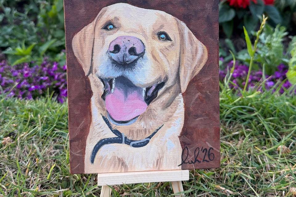 Small pet portrait - Ollie
