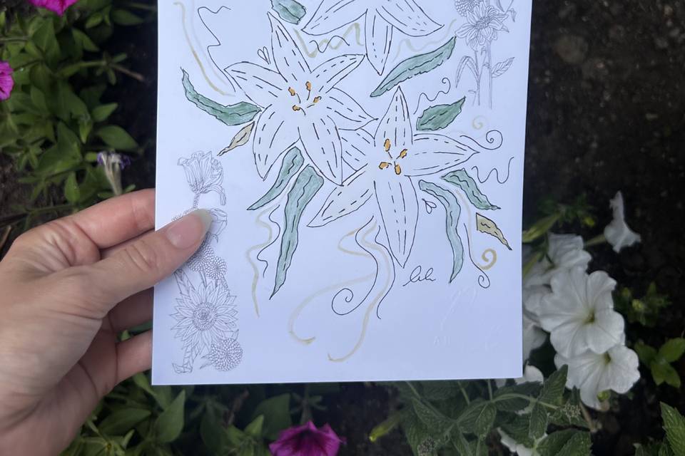 Live floral illustrations