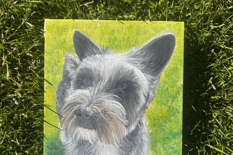 Small pet portrait- Hendricks