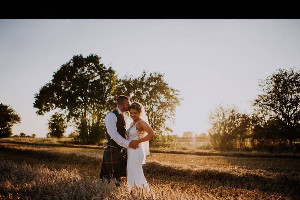 Corn fields at Sunset