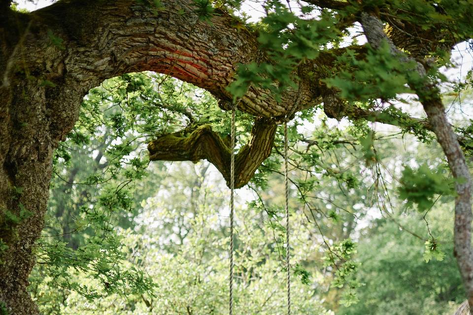 Wedding in Hertfortshire