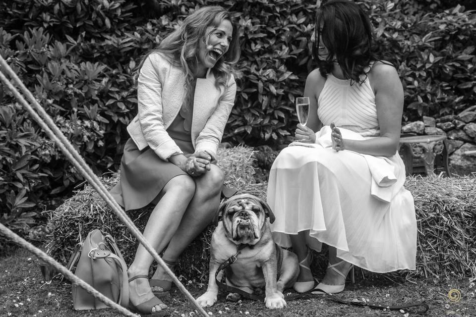 Pembrokeshire Wedding Photos