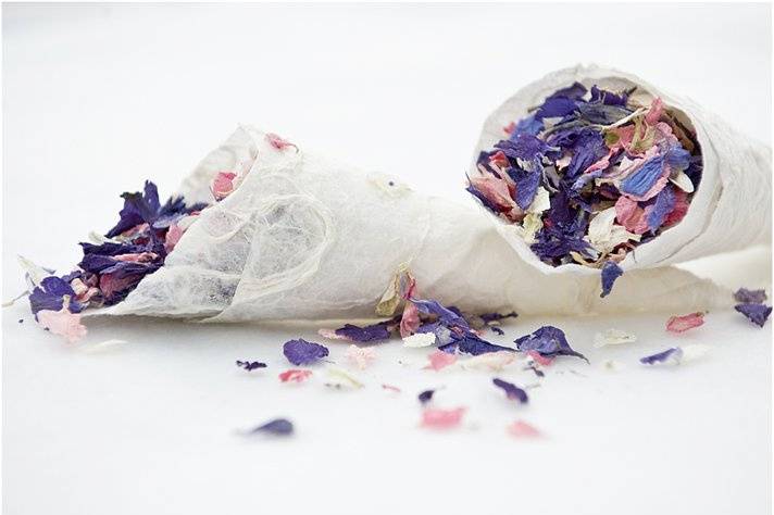 Delphinium Confetti in Handmade Paper Cones