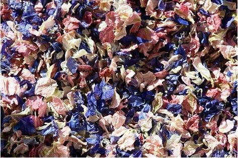 Natural Confetti