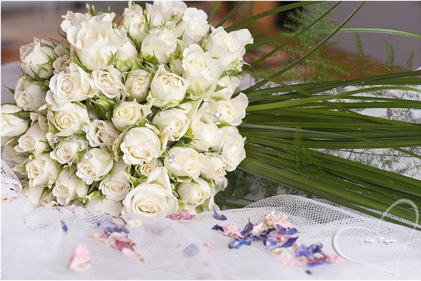 Delphinium Confetti Fallen By the Bouquet