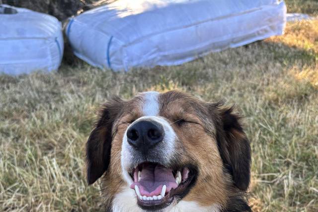 Smiles all around