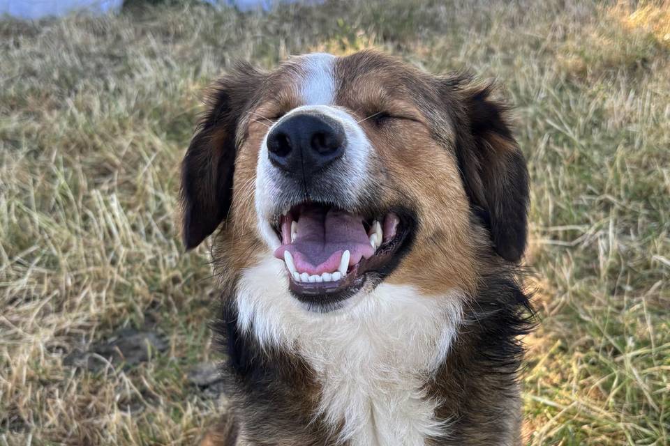 Smiles all around
