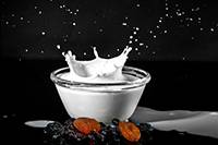 Fresh Milk
