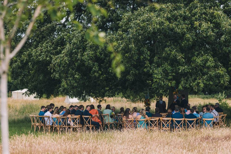 Ceremony under the oak