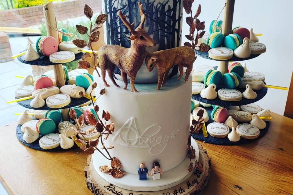 Handpainted Potter cake