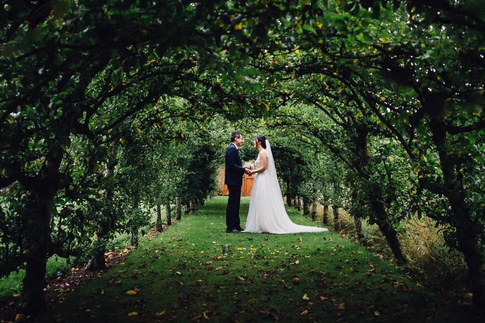 A romantic moment in the garden