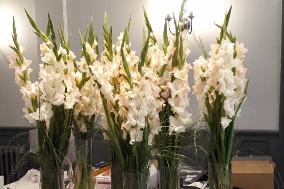 Gladioli vases