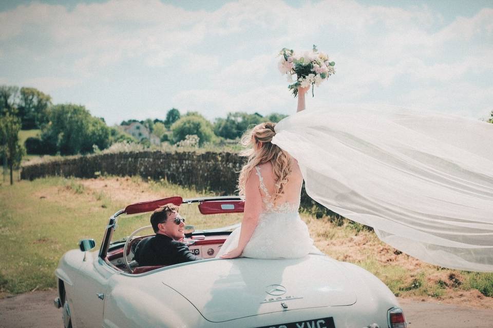 Car veil