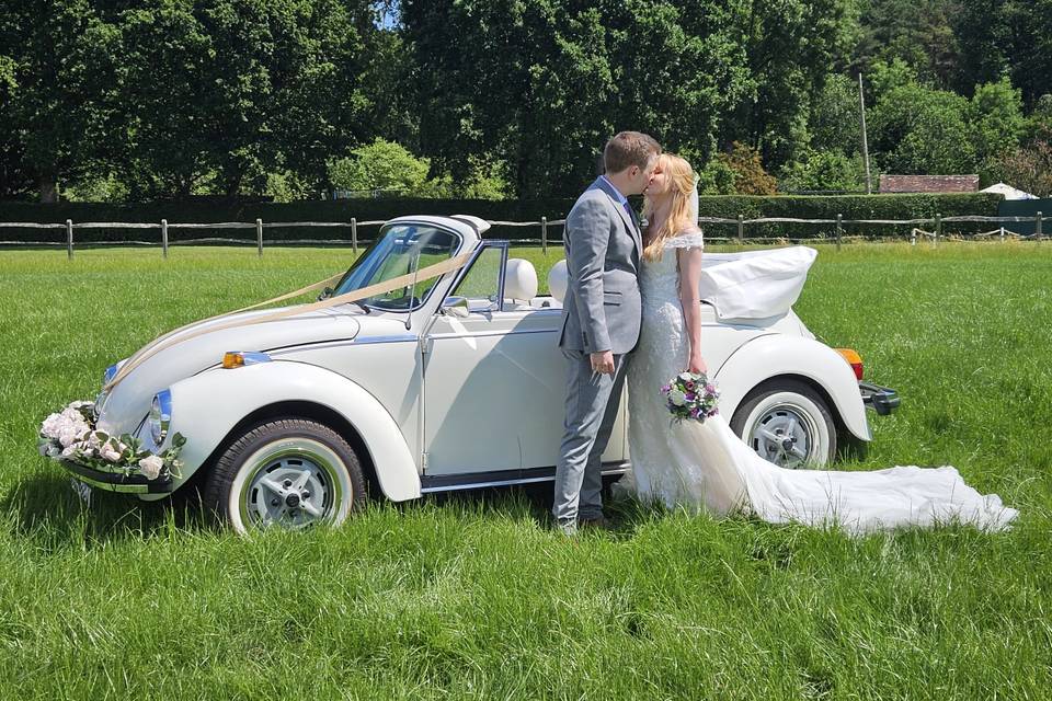 Louise, 1979 VW Beetle