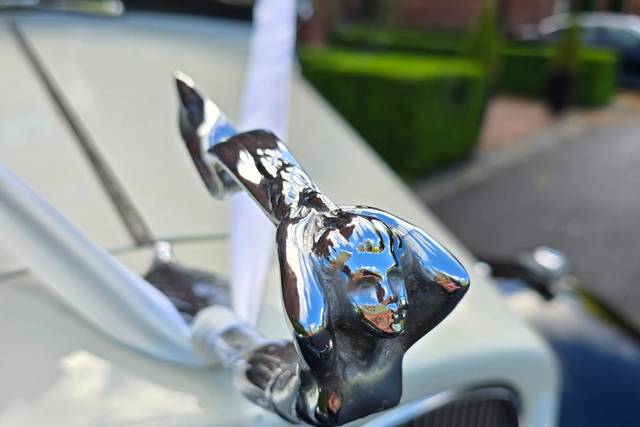 Hood Ornament