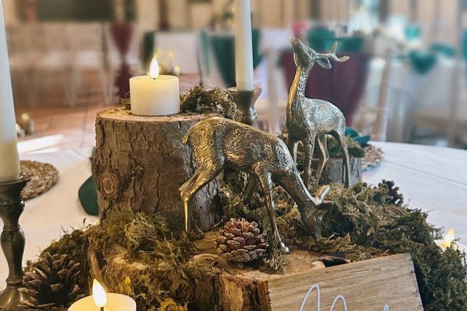 Winter Woodland Theme