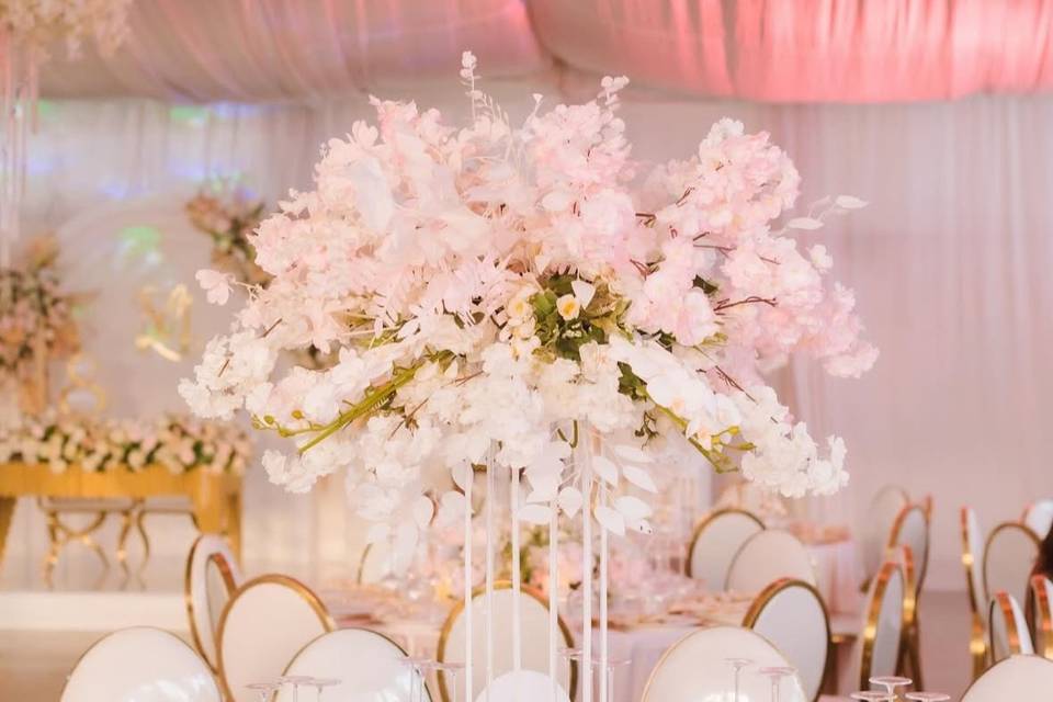 Dami's Events