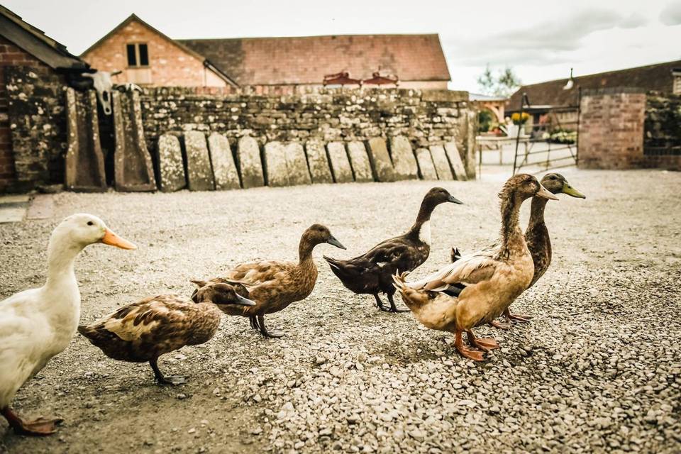 Milton End Farm weddings