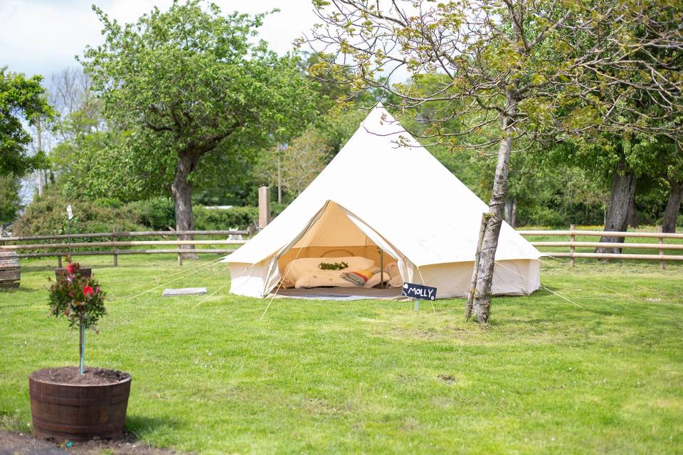 Glamping on site