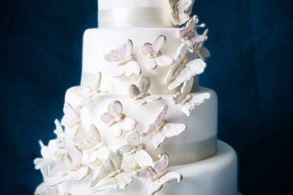 Love is like a butterfly