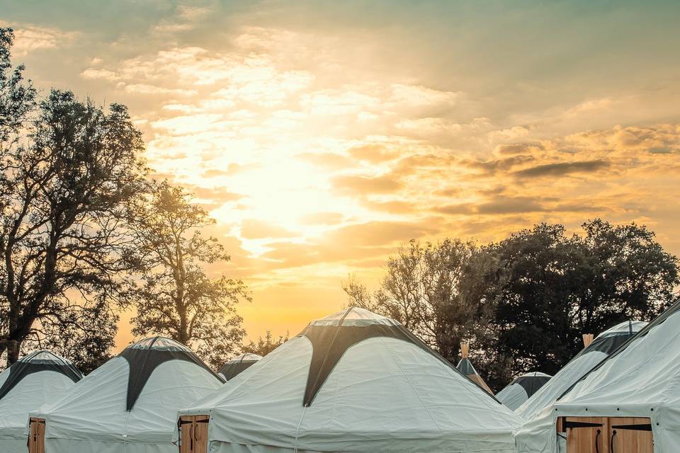 Accommodation Yurts