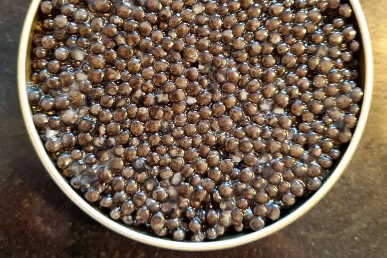 Caviar