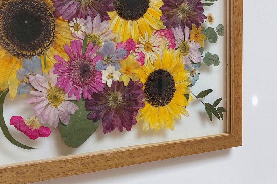 Amber and Wild Studios