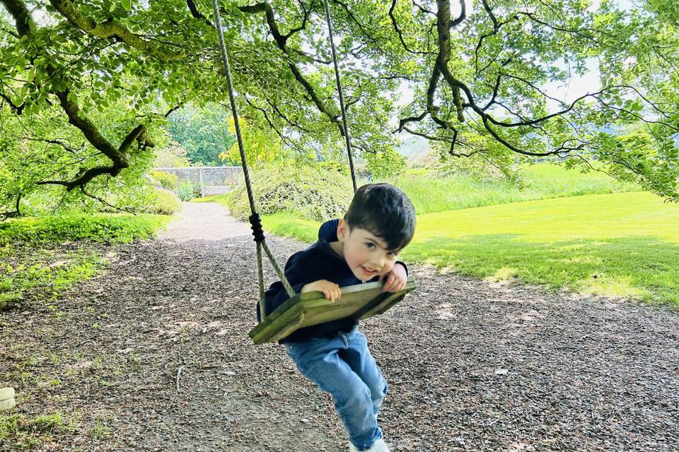 Woodland Swing