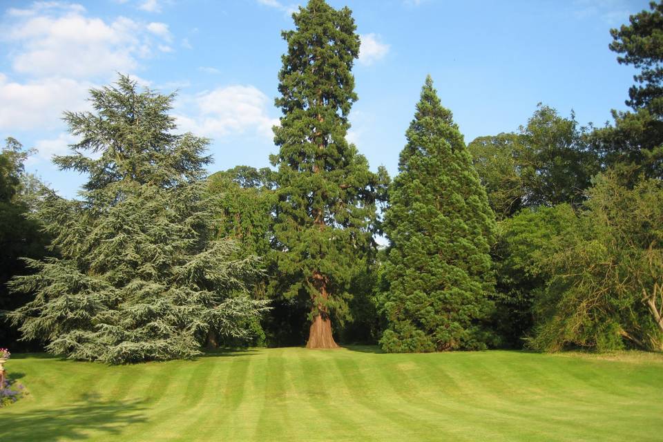 The wonderful view from The Garden Barn