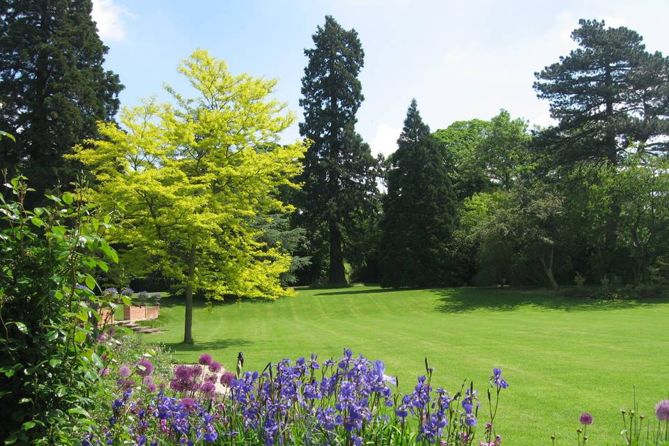 View of the garden in May.