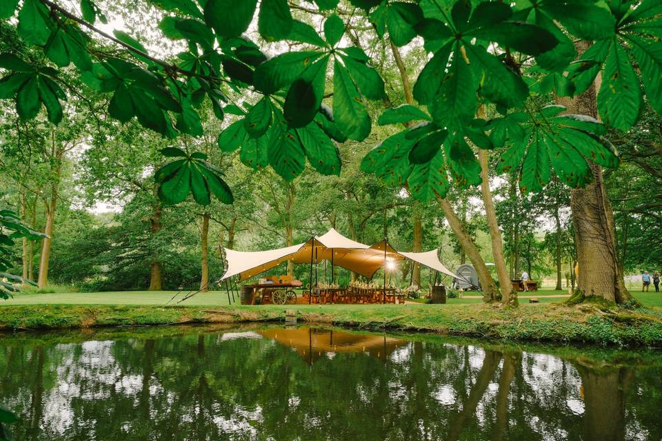 Woodland Wedding Dining