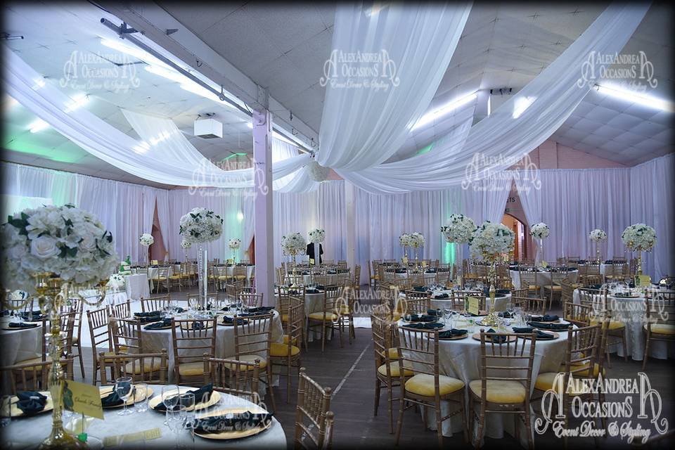 Wall & Ceiling Draping