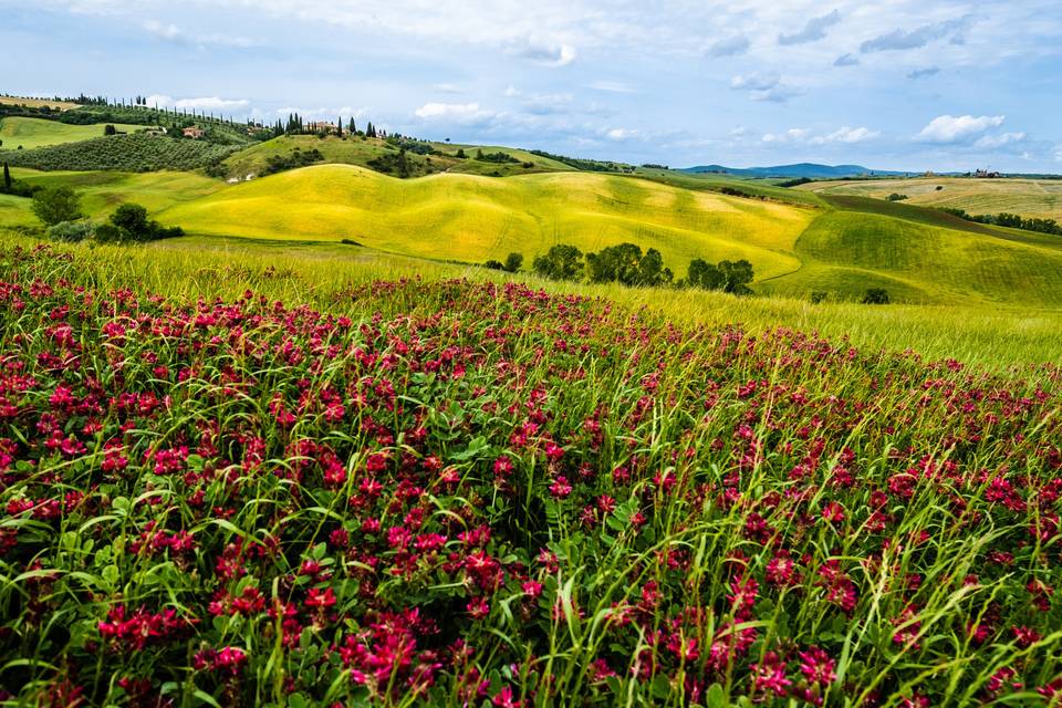 Tuscany