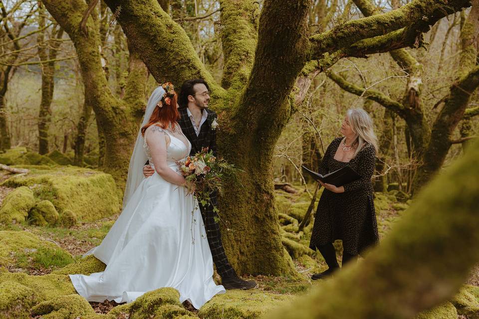 Dartmoor Fairy vibes