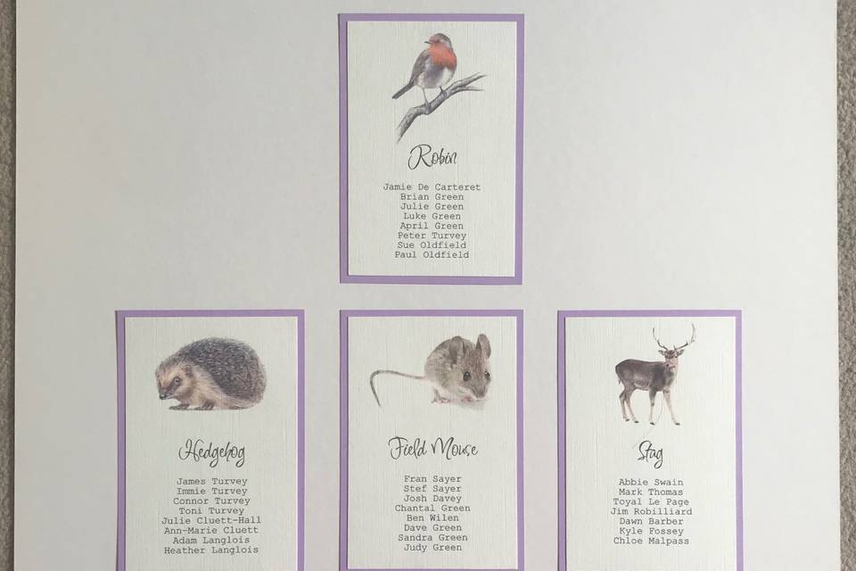 Country animals table plan