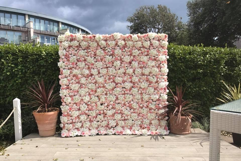 Flower Wall Blush