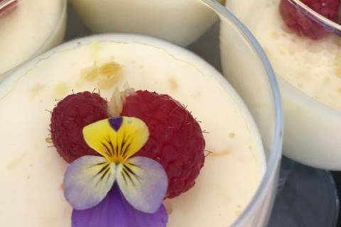 Lemon Posset