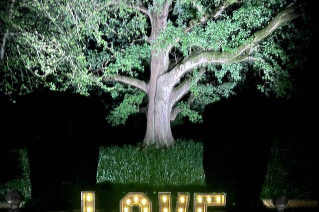 Outside Love - Coombe Lodge