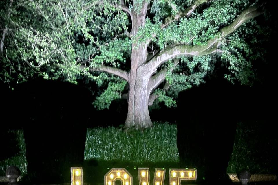 Outside Love - Coombe Lodge