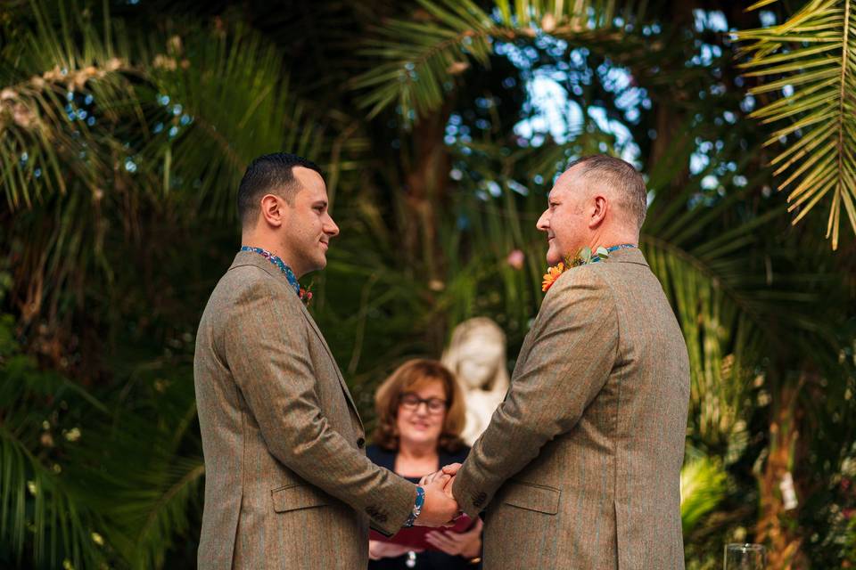 C&M at Palm House, L'pool