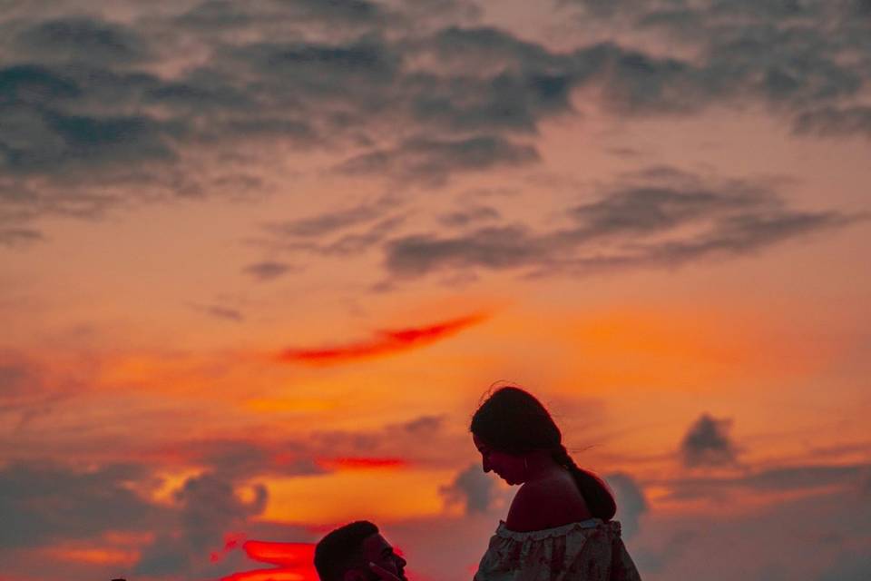 Proposal Trips