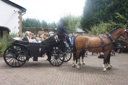 Horse & Carriage